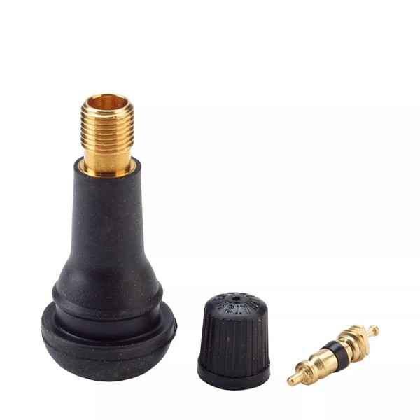 CONF. 100 VALVOLE TR413 EPDM SMONT.